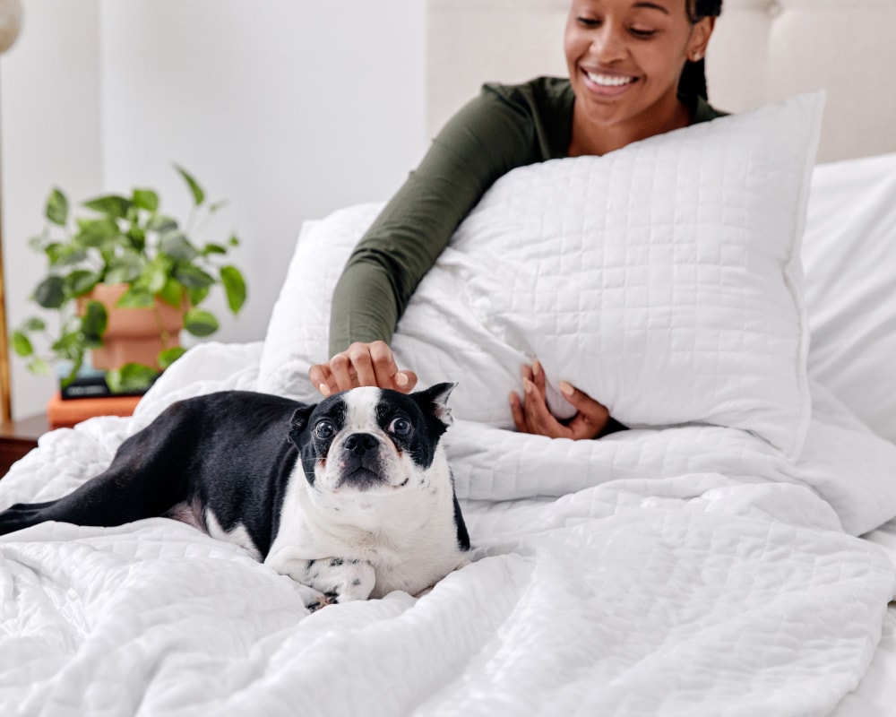 The Original Gravity Weighted Blanket: A Scientifically Proven Sanctuary for Restorative Sleep